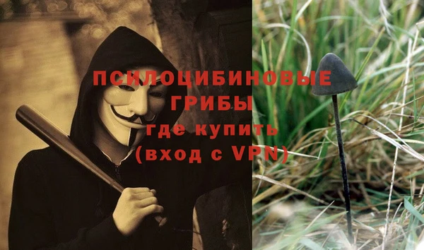 дживик Наволоки