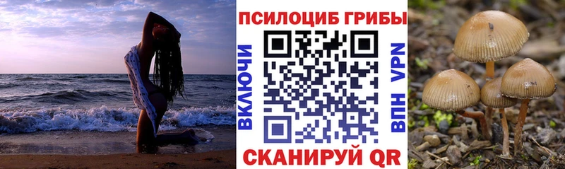 где продают наркотики  Усмань  Галлюциногенные грибы Psilocybe 